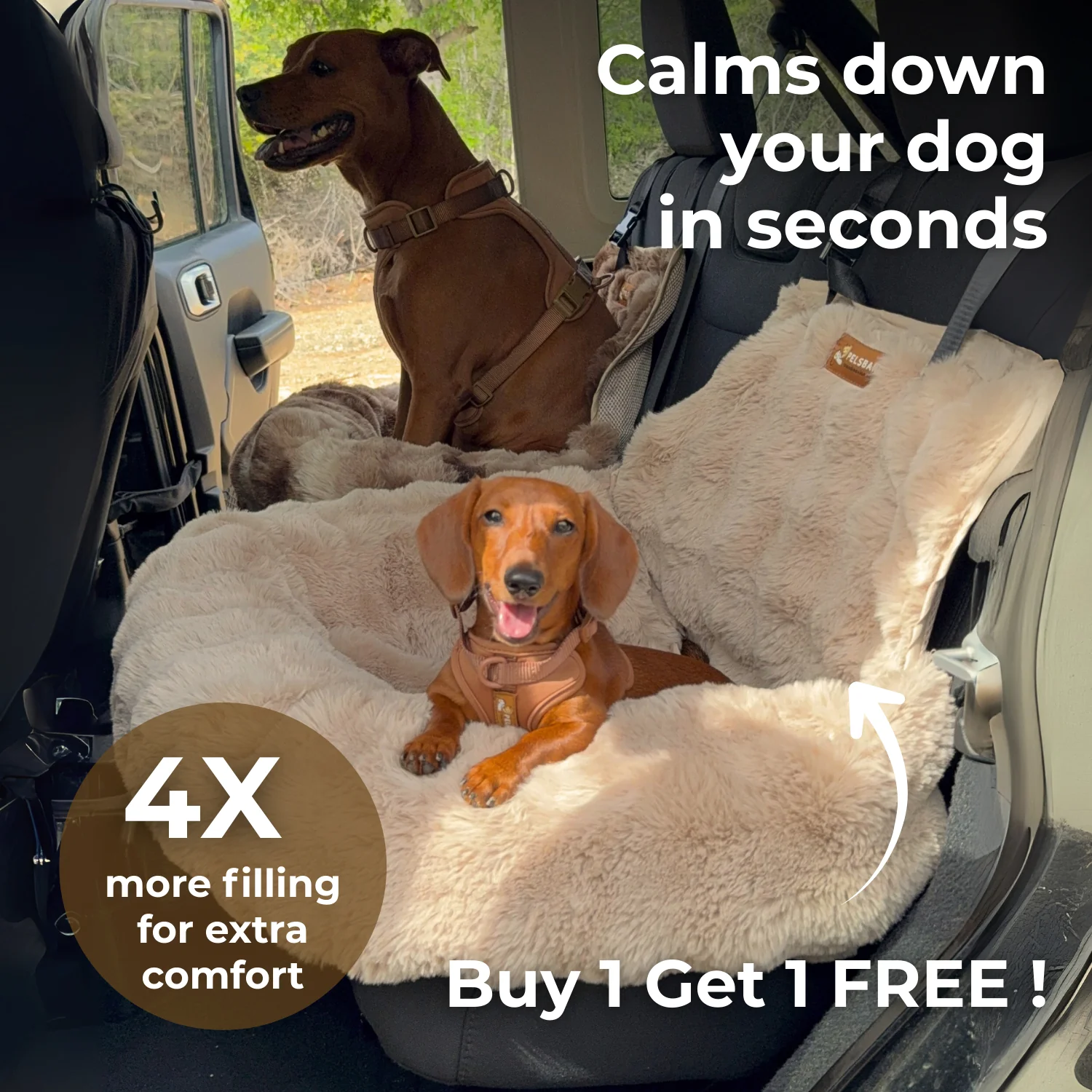 Luxurious Cozy Car Bed