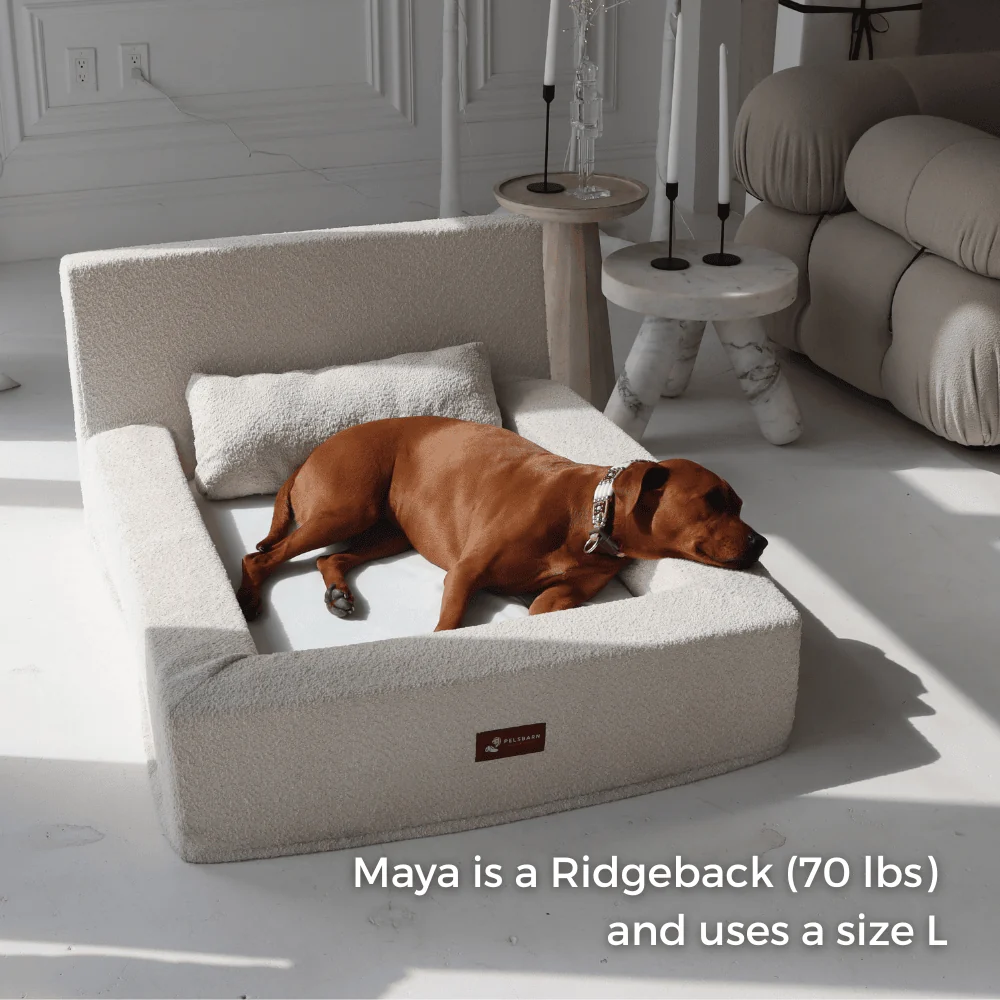 REAL orthopedic bed for dogs - Image 5