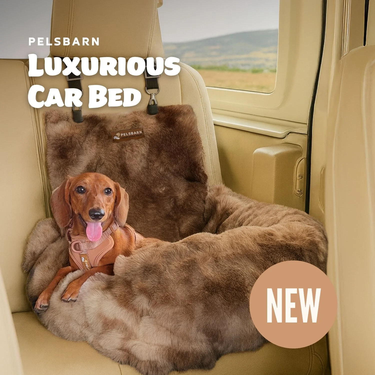 Luxurious Cozy Car Bed - Image 15