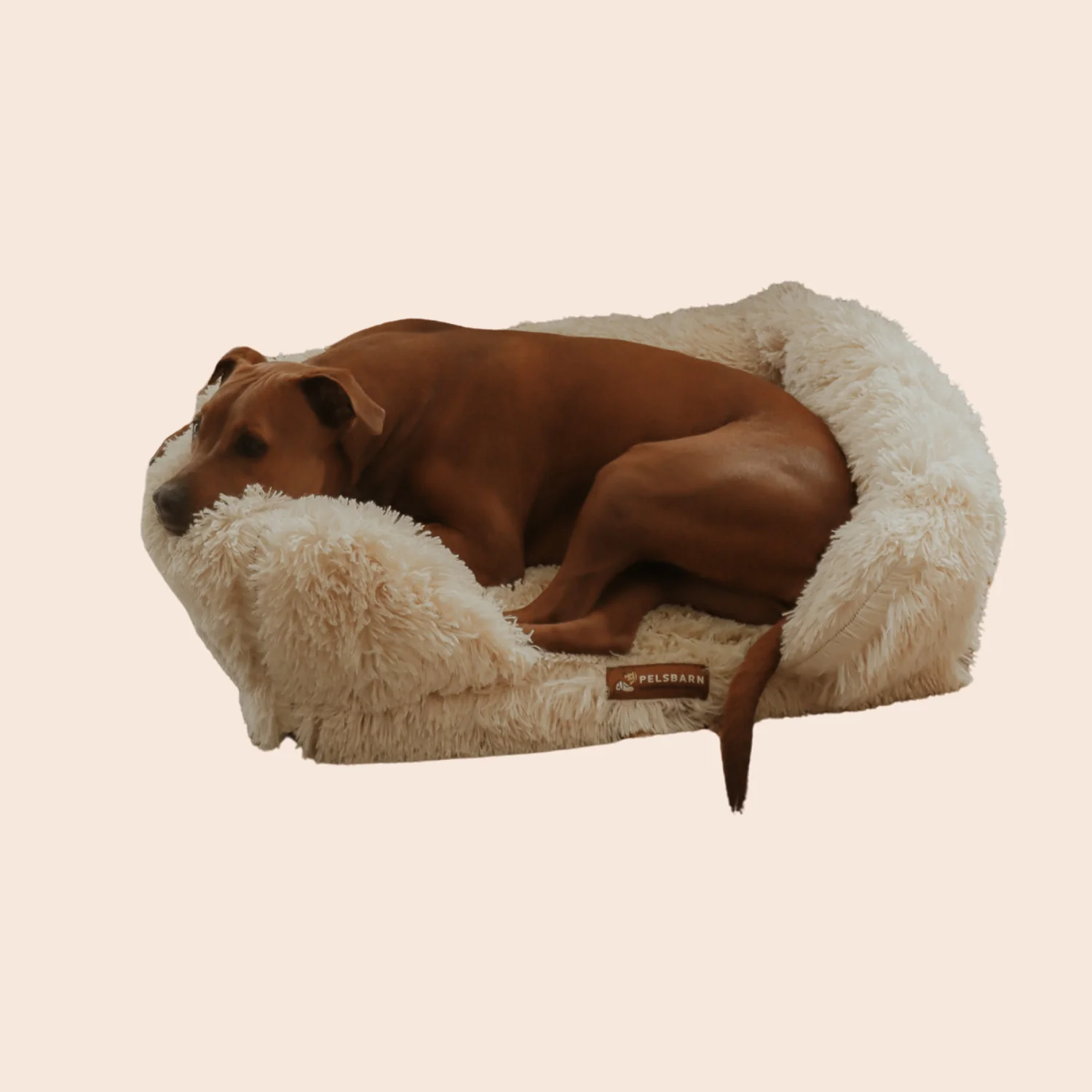 Orthopedic Calming Dog Bed
